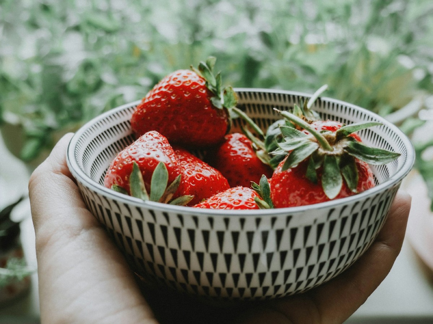 Fresas frescas